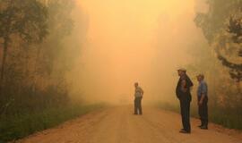 Gaisras Šilutės rajono durpyne