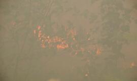 Gaisras Šilutės rajono durpyne