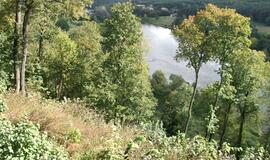 Vilniuje aštuoniolikmetis nuvežtas į mišką ir sumuštas