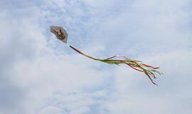 Valstybės diena paminėta spalvingais renginiais