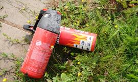 Ant viaduko užsidegė automobilis