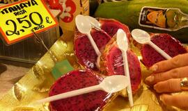 Kelionė į Kataloniją