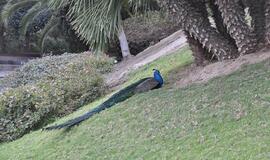 Ispanija: Kartagena ir Almerija