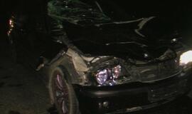 Automobilis rėžėsi į karves