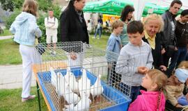 Klaipėdos senamiestyje - pirmoji gatvės šventė