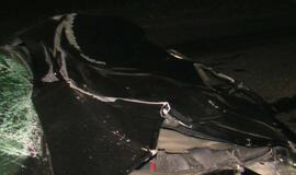 Automobilis rėžėsi į karves