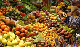 Kelionė į Kataloniją