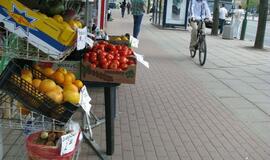 Dviračių takų apžiūra Klaipėdoje