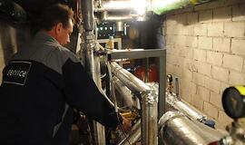 Gyventojų dauguma ir mažuma - kovos labirintuose