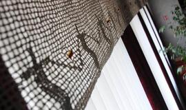 Juostos nėrėjos nori į Gineso rekordų knygą