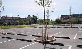 Krepšinio sirgalių mašinoms vietos bus sočiai