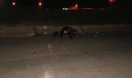 Žuvo motociklo vairuotojas