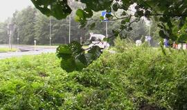 Ties Melnrage "mikriukas" virto ant šono