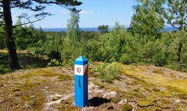 Stacionarios orientavimosi sporto trasos - jau ir Pervalkoje