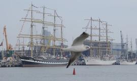 "The Culture 2011 Tall Ships regatta" programa