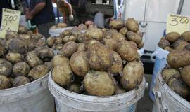 Bulvių kaina priklauso ne nuo oro, o nuo noro