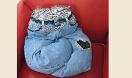 JAV dizainerė kuria originalius guolius keturkojams augintiniams