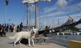 Jachtos "Lietuva" ir burlaivio "Brabander" sutikimas