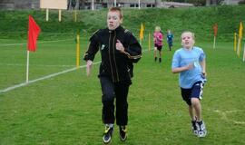 Tradicinis "Vakarų ekspreso" krosas