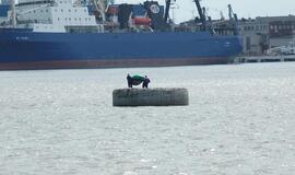 Premjeras: SGD terminalo projekto įgyvendinimas vyksta pagal planą