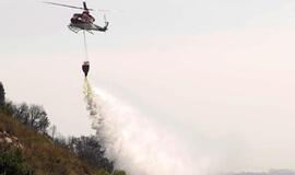 Prie Marbeljos kurorto Ispanijoje pelenais virto 300 hektarų miško