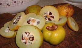 Svarainiai - kvapnūs ir naudingi