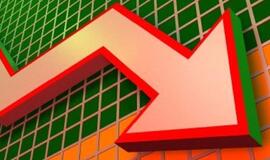 Lietuvos ekonomikos augimas lėtės, tačiau didelio nuosmukio nesitikima