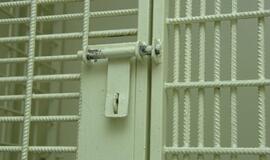 Neskaidrių viešųjų pirkimų organizatorius siūloma bausti ir laisvės atėmimu