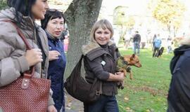 Derliaus šventėje Kretingoje - moliūgai milžinai