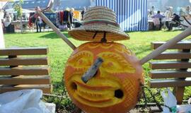 Derliaus šventėje Kretingoje - moliūgai milžinai