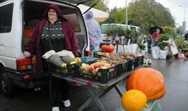 Šventė Palangos turguje