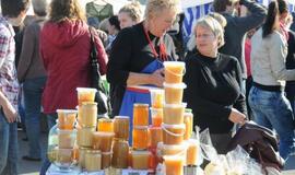 Derliaus šventėje Kretingoje - moliūgai milžinai