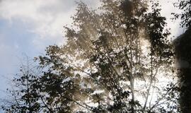 J. Janonio gatvėje rūko dūmai