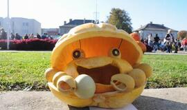 Derliaus šventėje Kretingoje - moliūgai milžinai