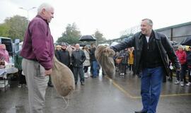 Šventė Palangos turguje