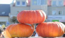 Ruošiant daržovių patiekalus sutaupyti lengva: išbandykite moliūgų apkepą vos už 2 eurus