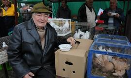 Šventė Palangos turguje