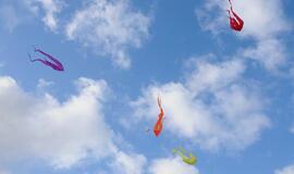 Klaipėdos darželinukams - aitvarų šou