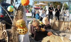 Derliaus šventėje Kretingoje - moliūgai milžinai