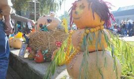 Derliaus šventėje Kretingoje - moliūgai milžinai