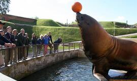 Tėčiai spalį jūrų muziejuje lankysis nemokamai