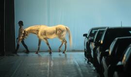 Vilniuje pristatyta Juozo Statkevičiaus kolekcija