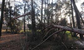 Stichijos padariniai Klaipėdoje