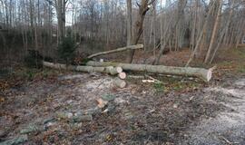 Stichijos padariniai Klaipėdoje