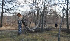 Stichijos padariniai Klaipėdoje