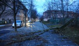 Stichijos padariniai Klaipėdoje