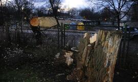 Stichijos padariniai Klaipėdoje