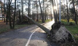 Stichijos padariniai Klaipėdoje