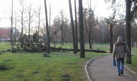 Stichijos padariniai Klaipėdoje