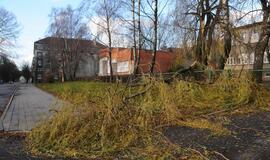 Stichijos padariniai Klaipėdoje